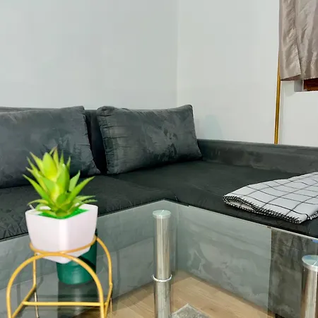 Center One-bedroom Loft *