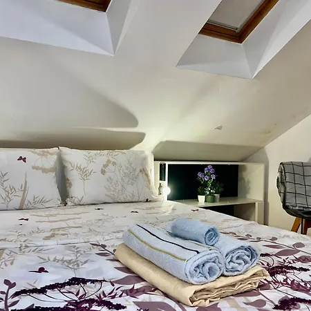 Center One-bedroom Loft شقة *