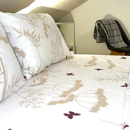 Appartamento Center One-bedroom Loft SJJ