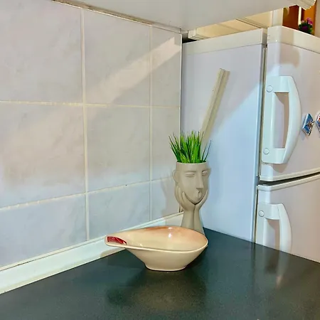 Center One-bedroom Loft Apartment