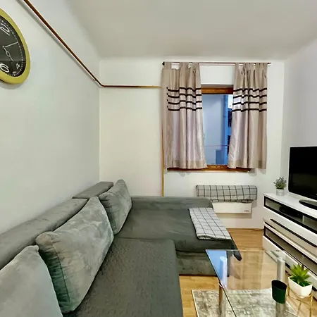 Center One-bedroom Loft Apartment *