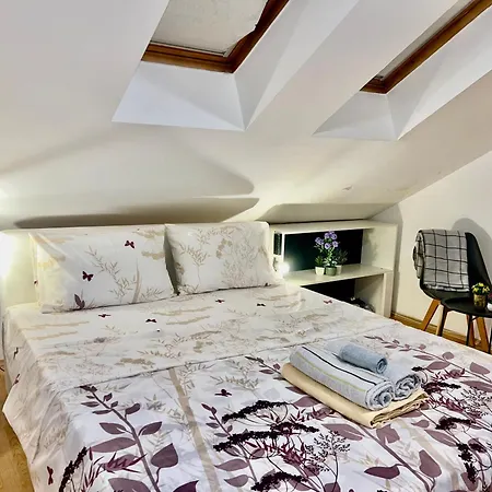 Center One-bedroom Loft شقة