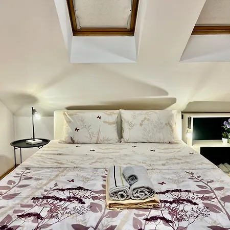 Appartamento Center One-bedroom Loft SJJ