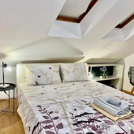 شقة Center One-bedroom Loft سراييفو