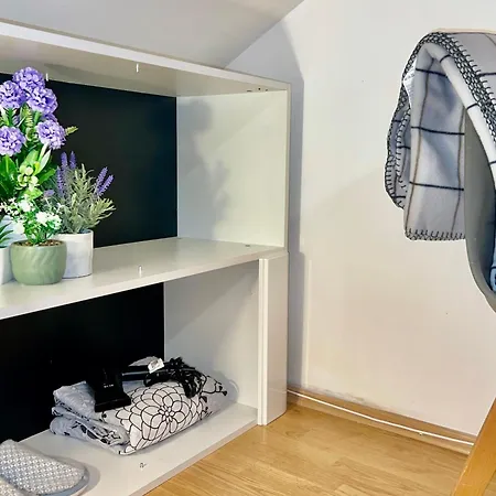 Center One-bedroom Loft Apartment *